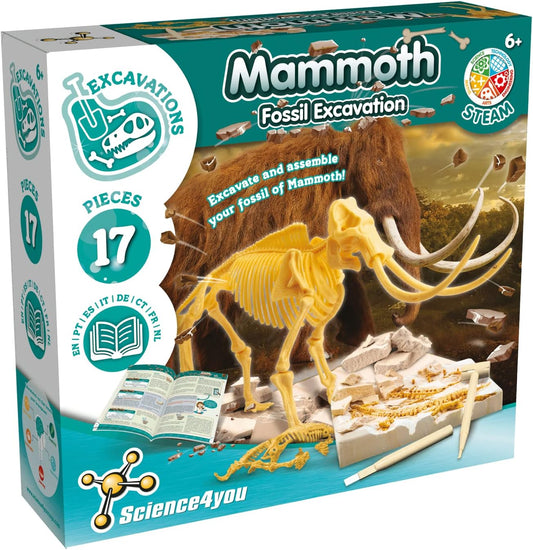 Excavation Fossil - Mammut