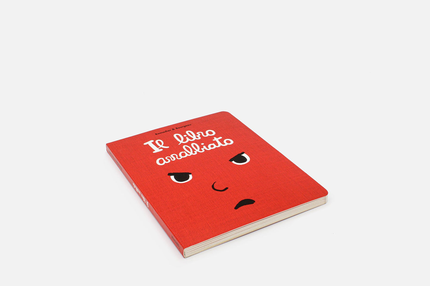 Il libro arrabbiato - pagina interna 1