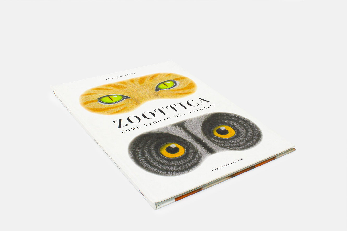 Zoottica. Come vedono gli animali? - pagina interna 2