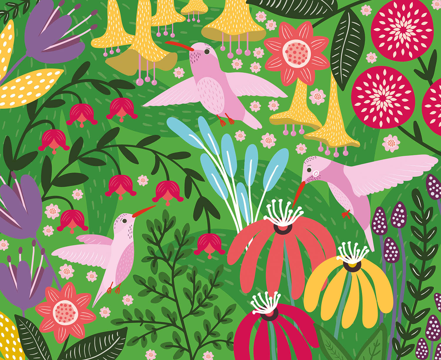 Carte Scratch - Uccelli Fantastici - Centroscuola