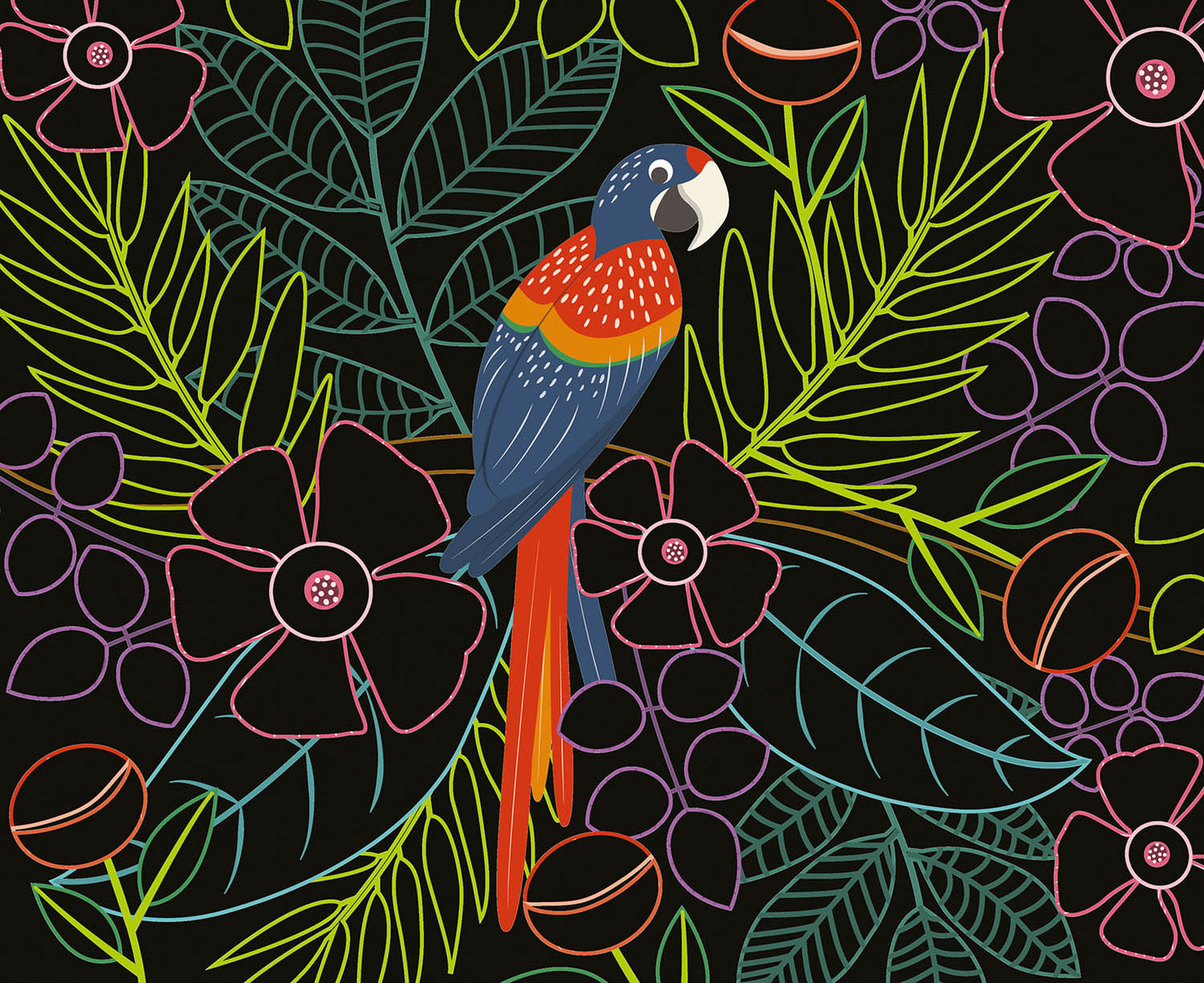 Carte Scratch - Uccelli Fantastici - Centroscuola