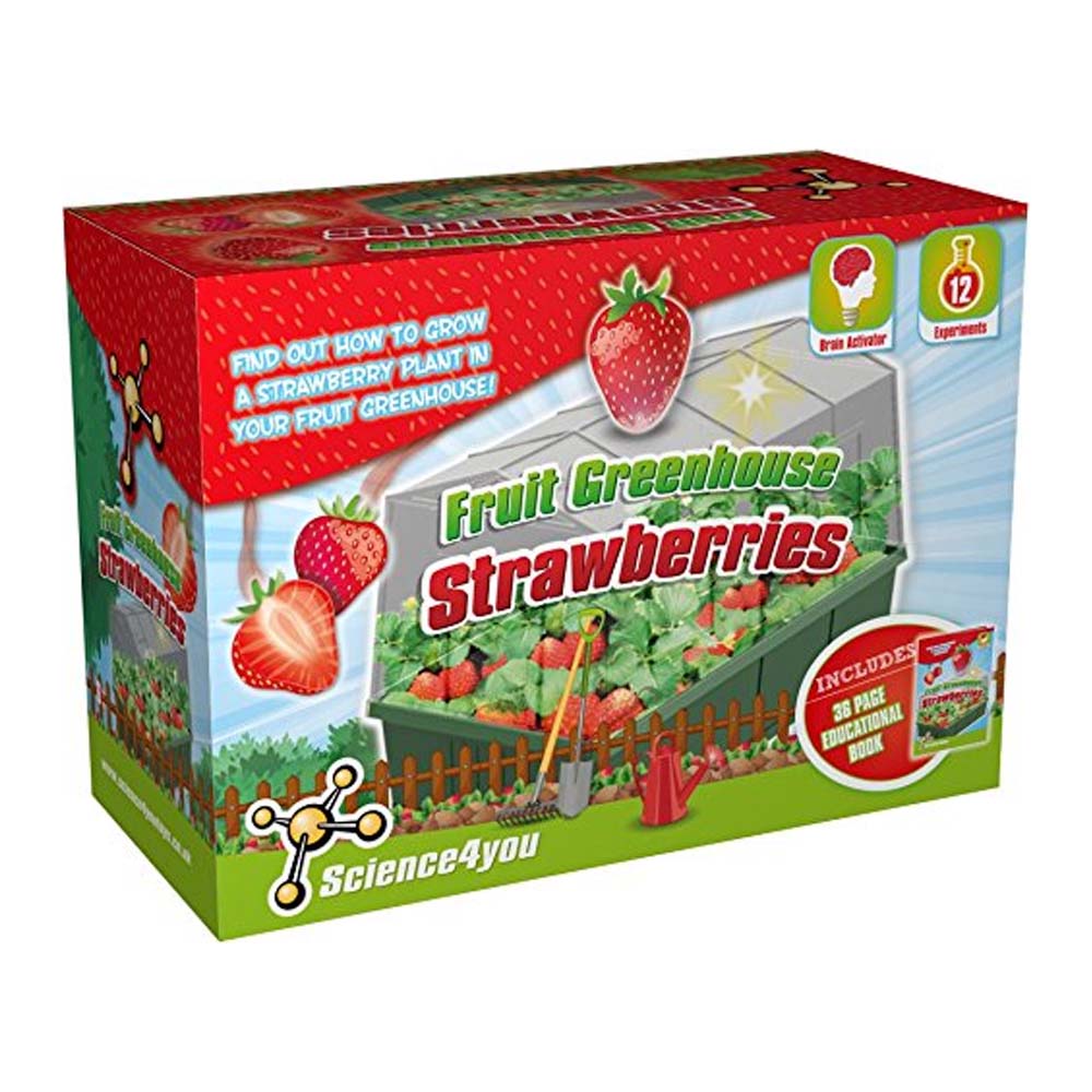 Mini Serra delle Fragole - Centroscuola