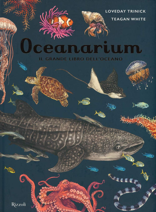 Oceanarium. Il grande libro dell'oceano - Centroscuola