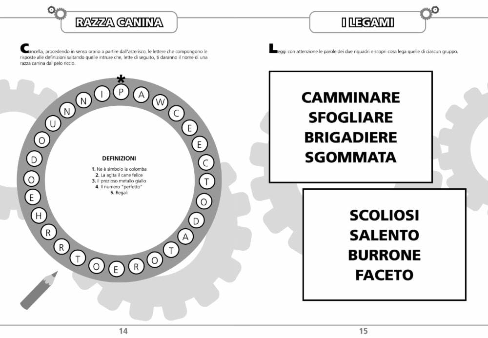 Palestra per la mente
