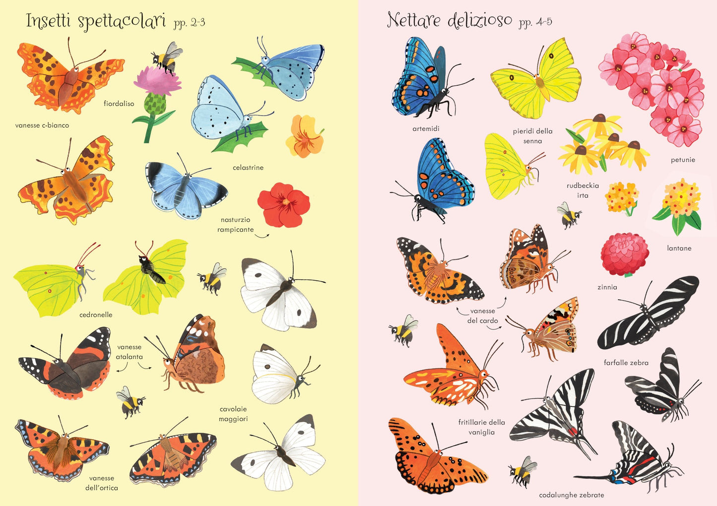 Piccoli libri con adesivi - Farfalle