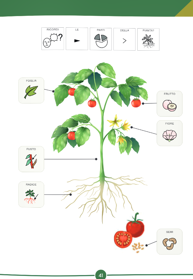 Scienze Estesa 4° - Symbook - Centroscuola