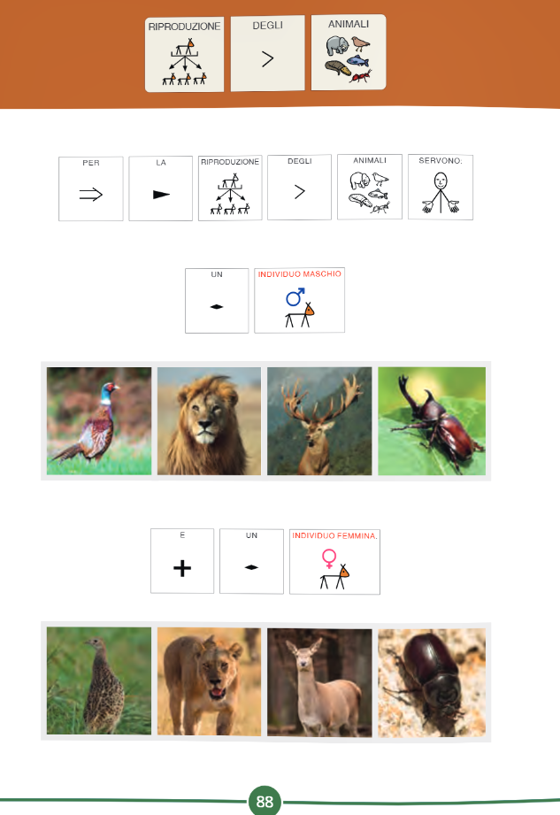 Scienze Estesa 4° - Symbook - Centroscuola