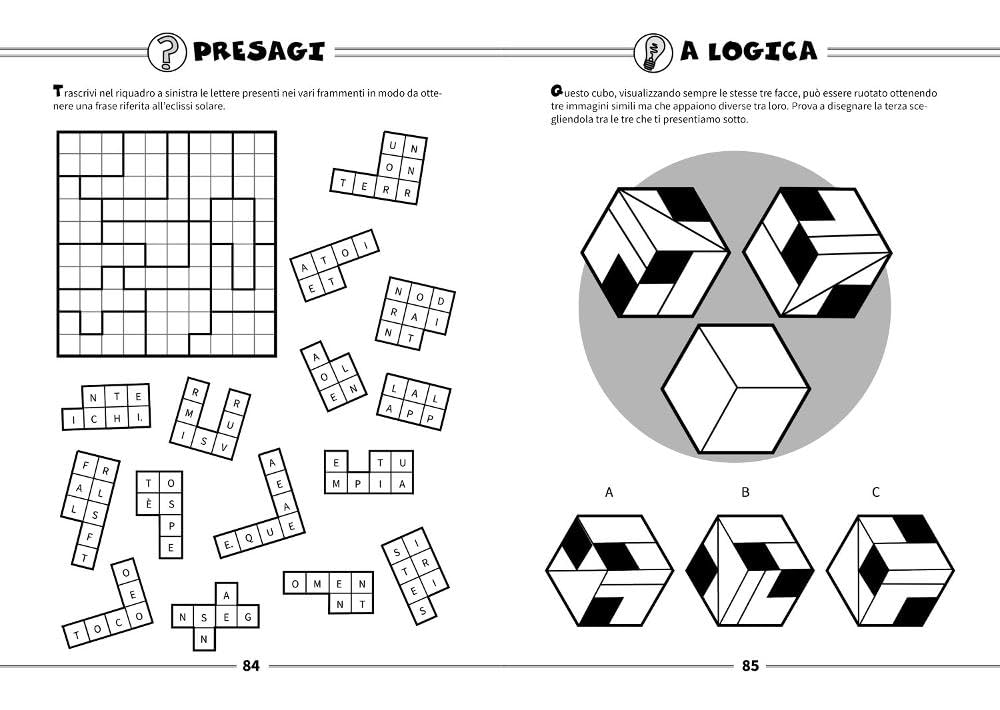 Sfida la mente - Enigmi, rompicapo e giochi per esperti