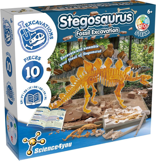 Excavation Fossil - Stegosaurus