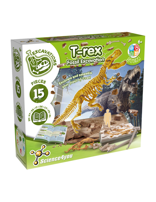 Excavation Fossil - T-Rex