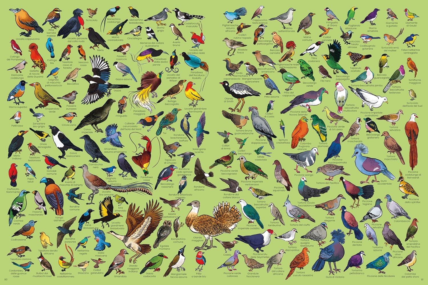 Tanti tantissimi animali - Centroscuola