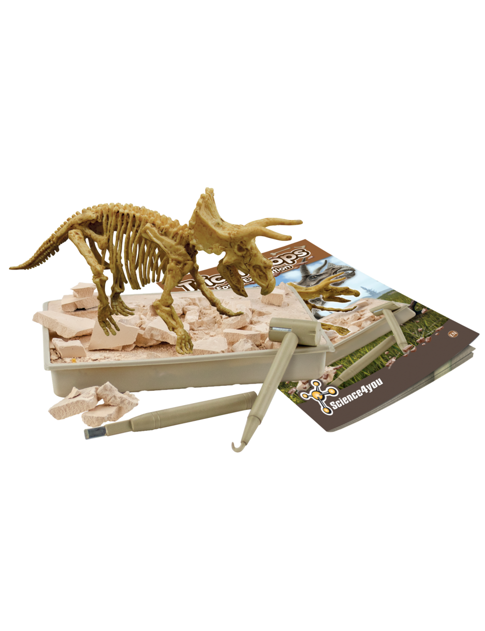 Excavation Fossil - Triceratopo