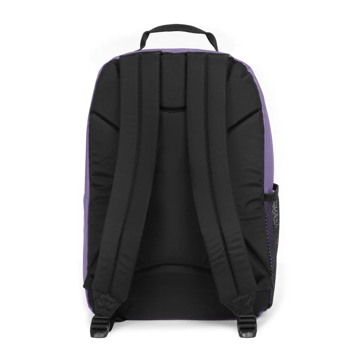 Zaino Eastpak Study Buddy - Bouquet Lilac - Centroscuola