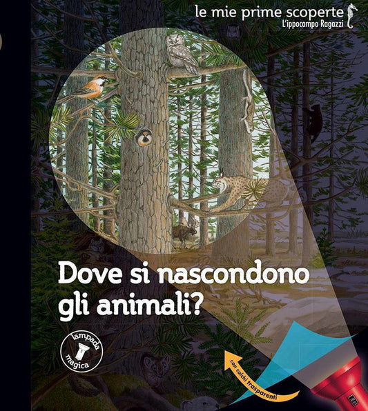 Dove Si Nascondono Gli Animali? 