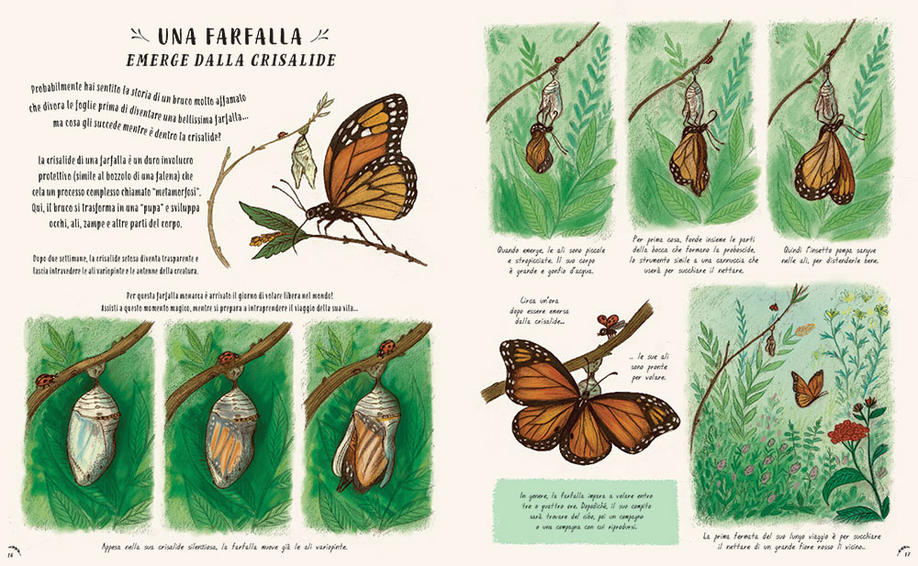 Piano piano... Osservare la natura per vivere senza fretta - Centroscuola