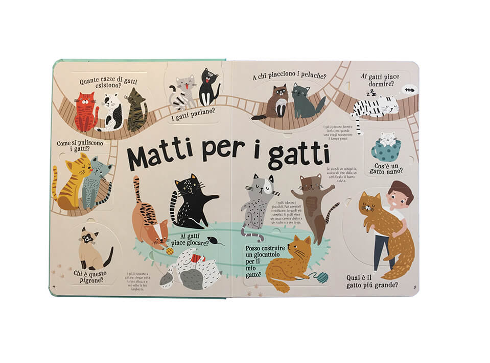 Matti per i gatti - Centroscuola