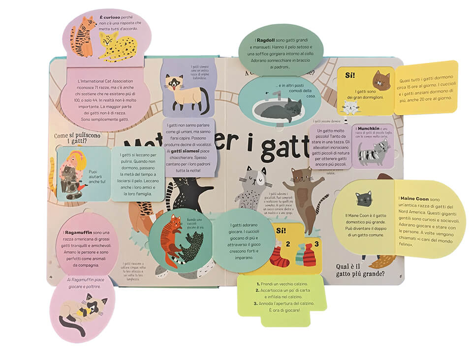 Matti per i gatti - Centroscuola