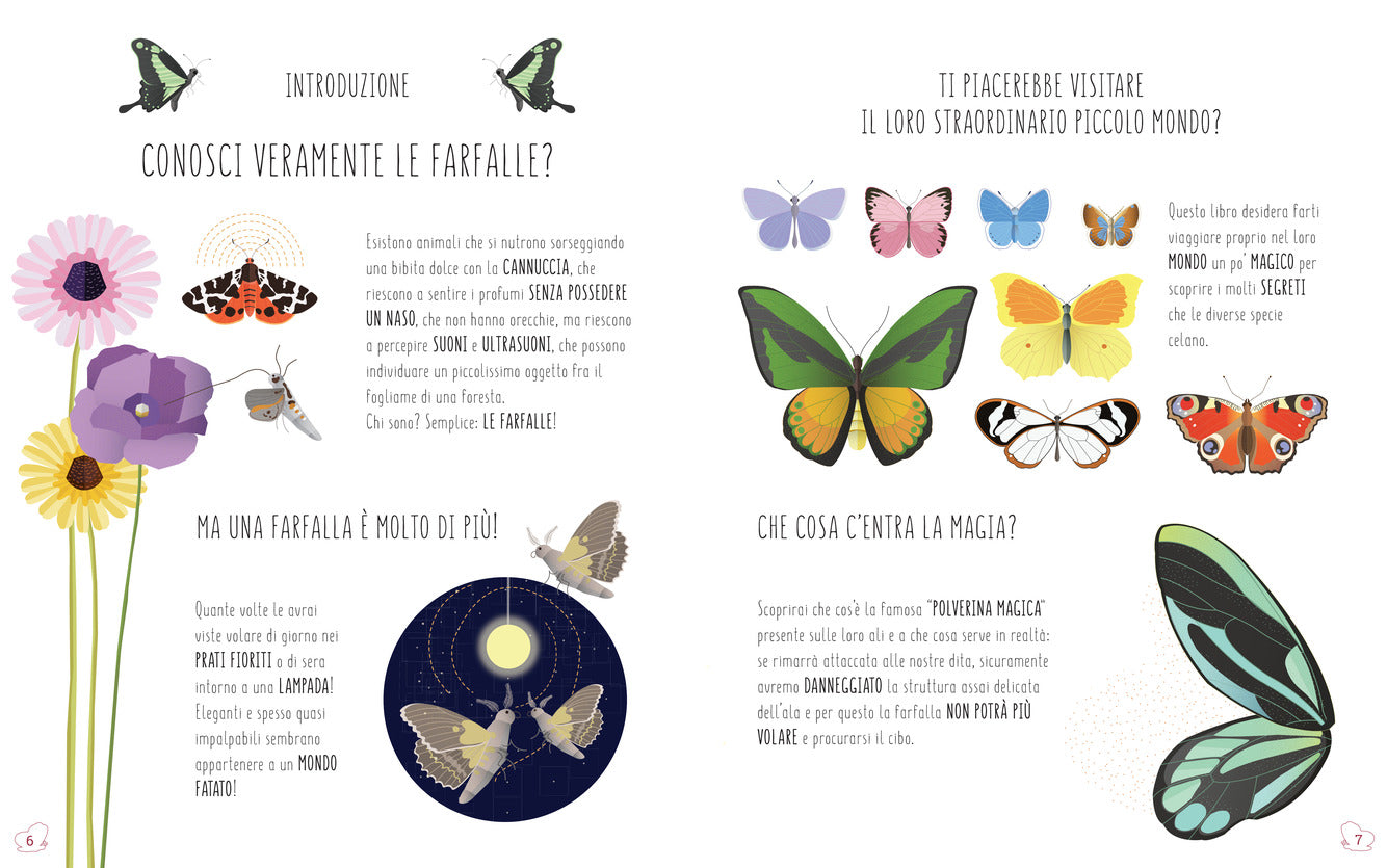Il mondo delle farfalle