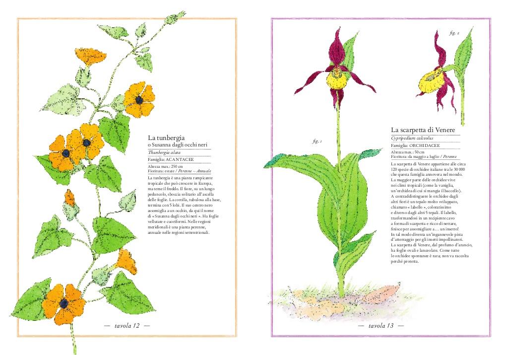 Inventario illustrato dei fiori
