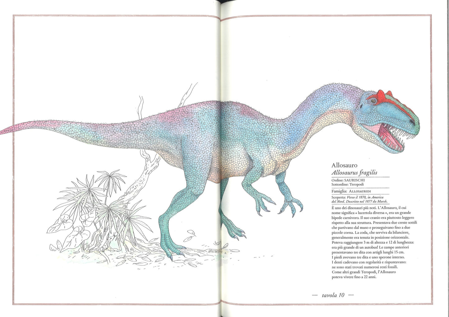 Inventario illustrato dei dinosauri