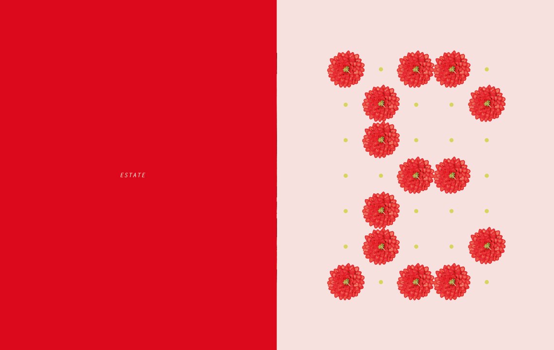 Fiori - Centroscuola