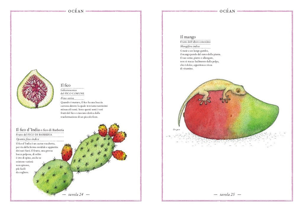 Da Gerla 1927 arrivano Gli Essenziali: dessert di frutta a forma di frutta Da Gerla 1927 arrivano Gli Essenziali: dessert di frutta a forma di frutta