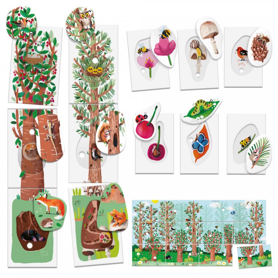 Flashcards My First Nature Montessori