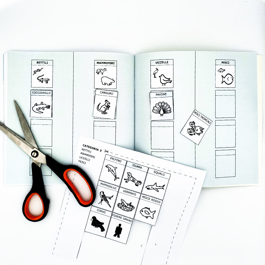 Quaderni di #intantofaccioqualcosa (Vol. 4) - Attività con la CAA - Centroscuola