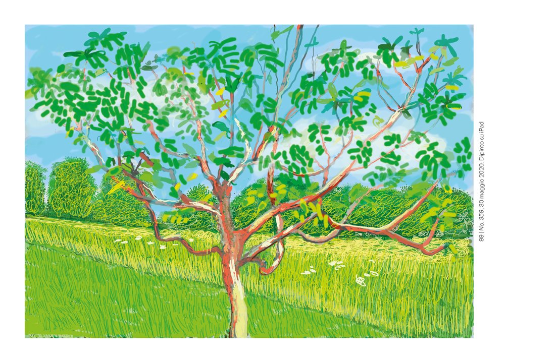 David Hockney - L'arrivo della primavera, Normandia - Centroscuola