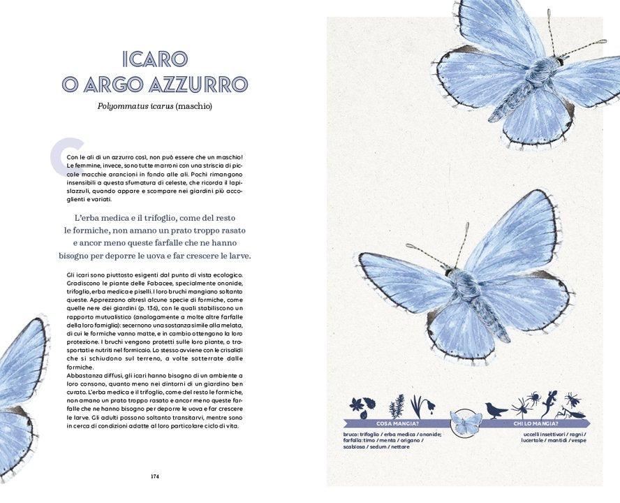 Il piccolo popolo del giardino - Centroscuola