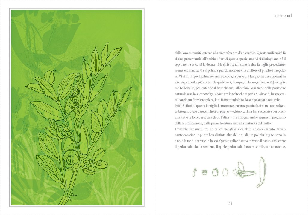 Atlante di botanica elementare - Centroscuola