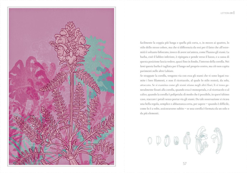 Atlante di botanica elementare - Centroscuola