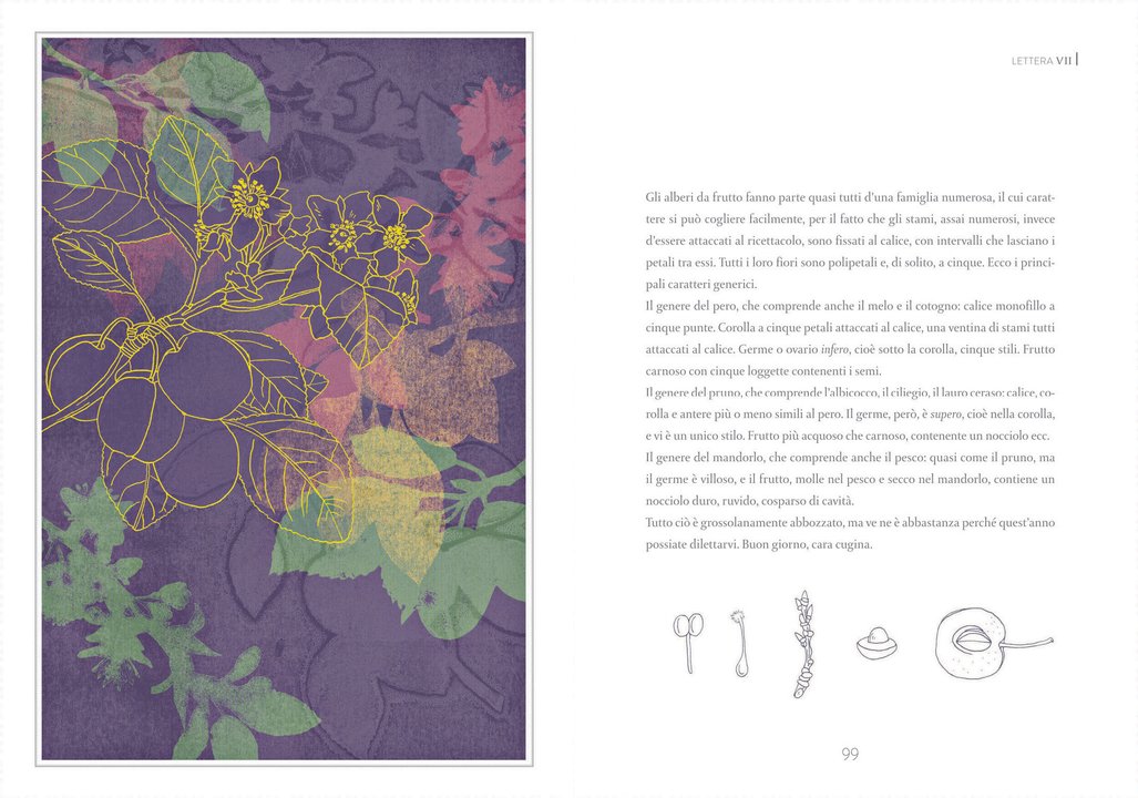 Atlante di botanica elementare - Centroscuola