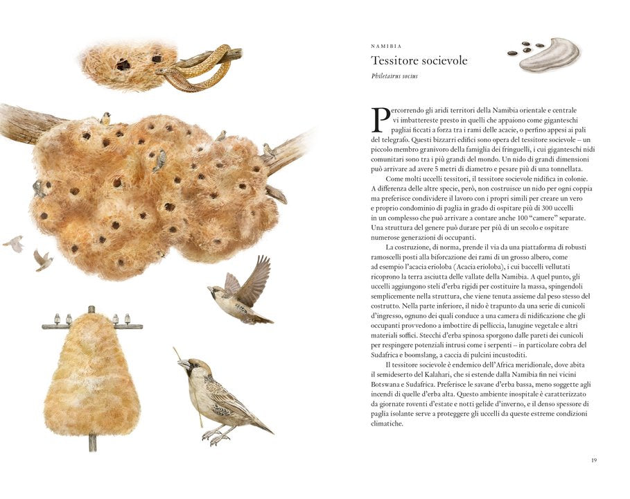 Il giro del mondo in 80 uccelli - Centroscuola