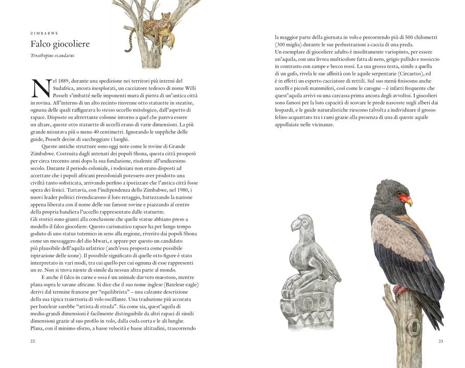 Il giro del mondo in 80 uccelli - Centroscuola