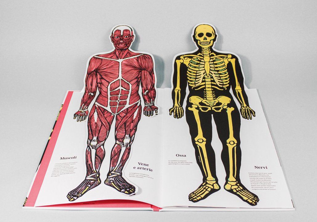 Il corpo umano - Centroscuola