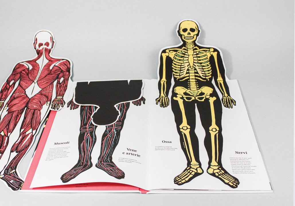 Il corpo umano - Centroscuola