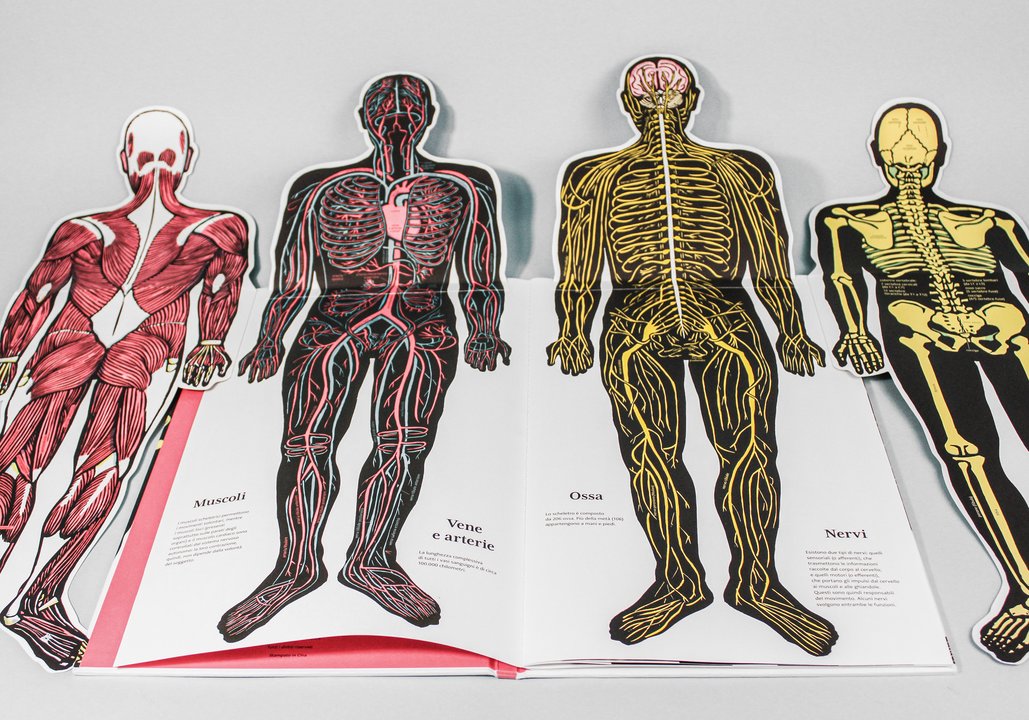 Il corpo umano - Centroscuola