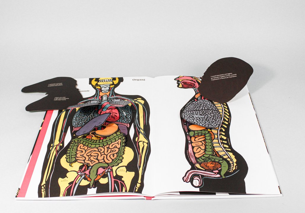 Il corpo umano - Centroscuola