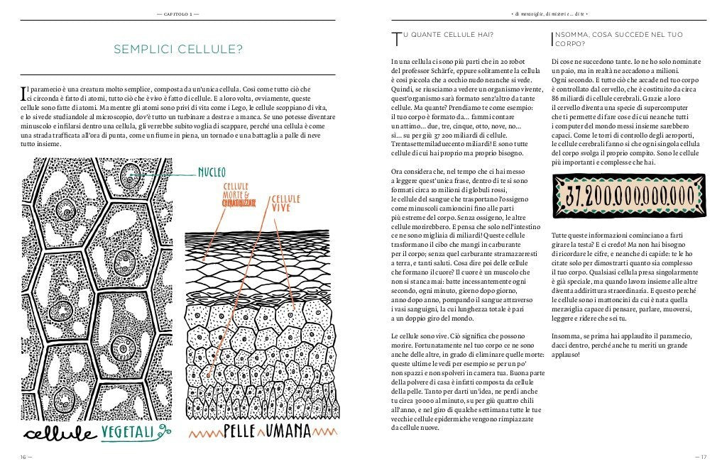 Il mistero della Vita - Centroscuola