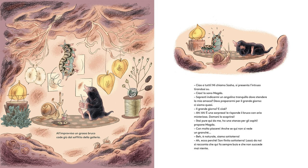 Magda e i mille colori del giorno - Centroscuola