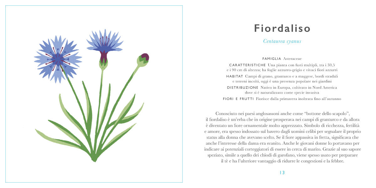 Piccola guida ai fiori selvatici - Centroscuola