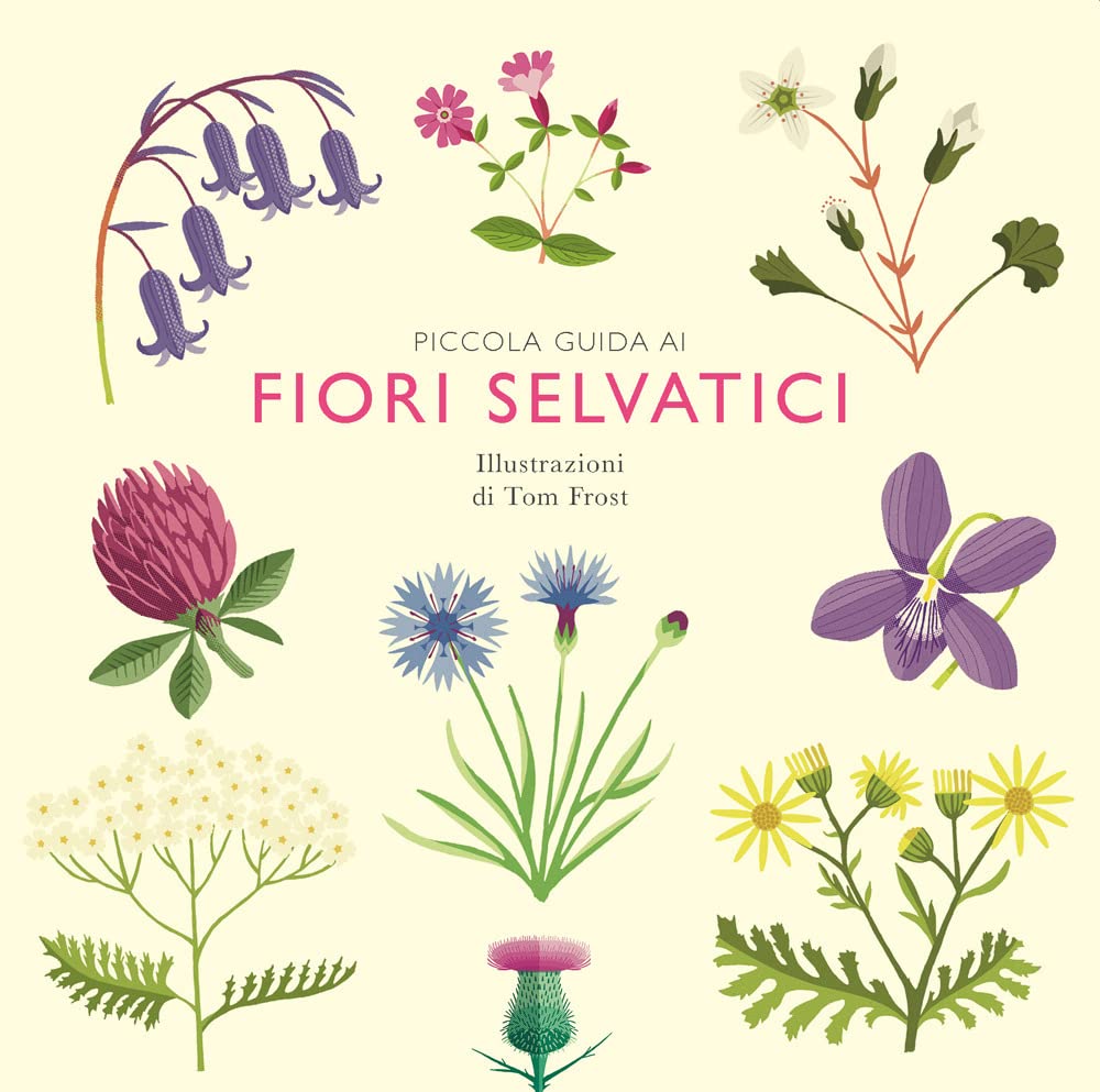 Piccola guida ai fiori selvatici - Centroscuola