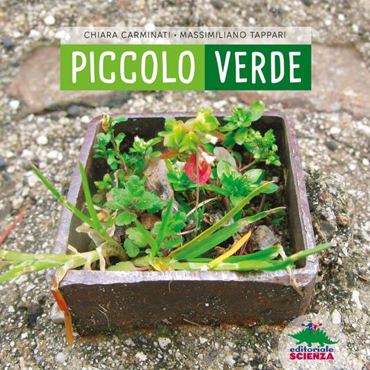 Piccolo verde - Centroscuola